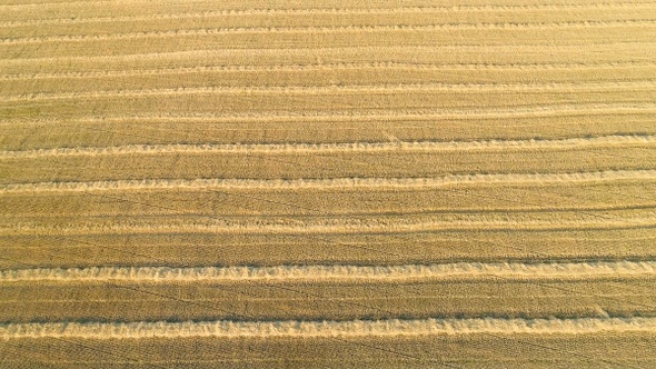 Scenic abstract agricultural fields. Aerial view.