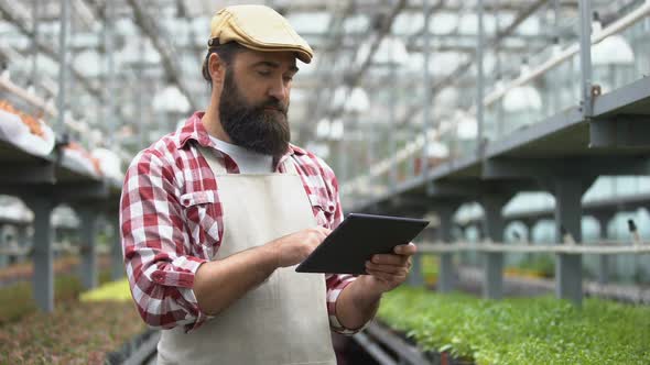 Farmer Using Agriculture App on Tablet, Smart Greenhouse Irrigation System