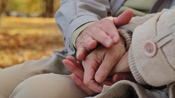 Closeup Elderly Married Couple Gently Stroking Hands of Each Other Romantic Date in Autumn Park Aged alt