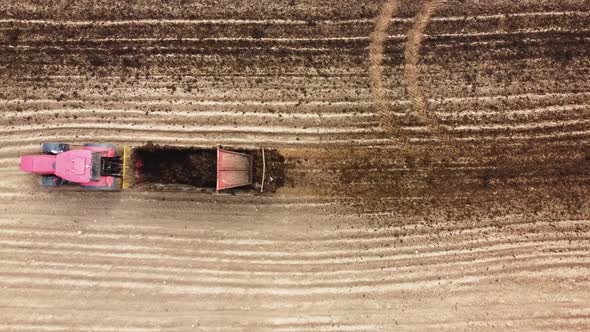 Tractor with Trailer Spreading Organic Manure on Farm Field alt