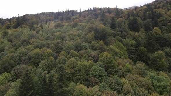 Trees in the Mountains Slow Motion. Aerial View of the Carpathian Mountains in Autumn. Ukraine alt