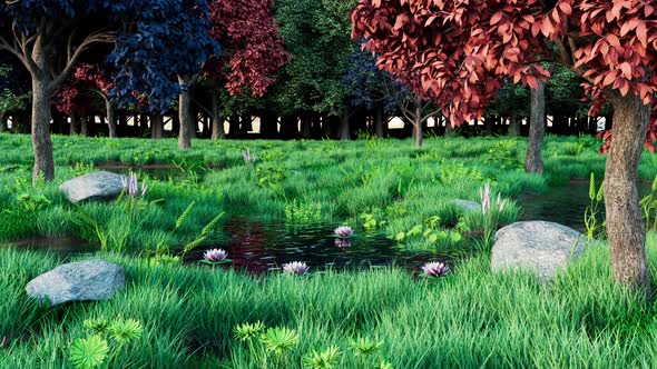 Forest Background alt