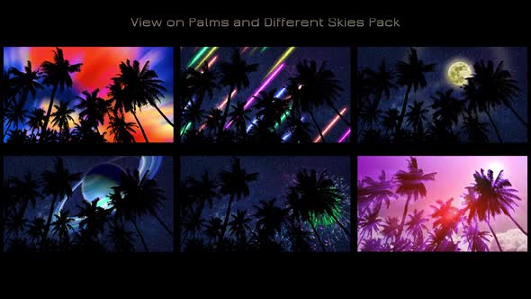 View On Palms And Different Skies HD
