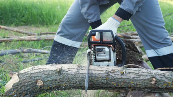 Man Saws a Log with a Chainsaw on a Background of Green Grass alt