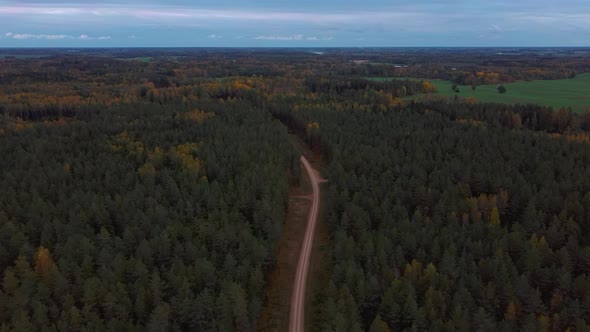 Gravel Country Road in Green Pine Forest Woods Growing Both Sides. Aerial Dron 4k View alt