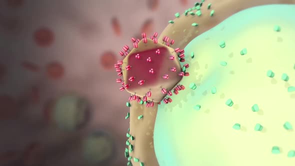 Destructive effect of HIV virus on cells alt