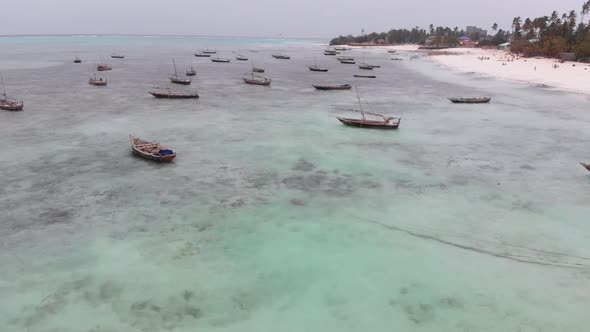 Lot Fishing Boats Stuck in Sand Off Coast at Low Tide Zanzibar Aerial View alt