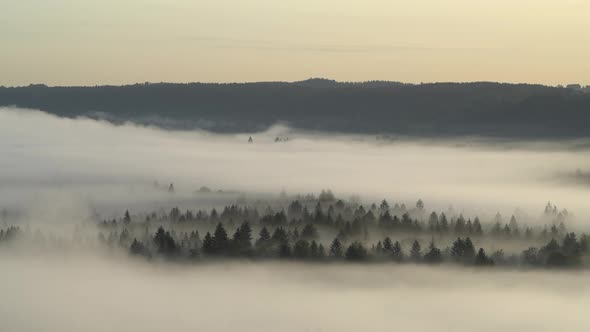 Aerial view of fog in the forest, Pupplinger Au, Germany alt
