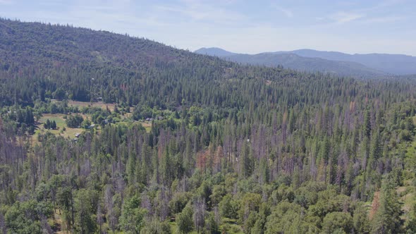 Descending Aerial Drone Shot of Houses in a California Mountain Valley (Sierra National Forest, CA)
