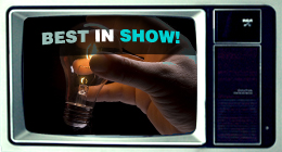 Best in Show : Theme Forest