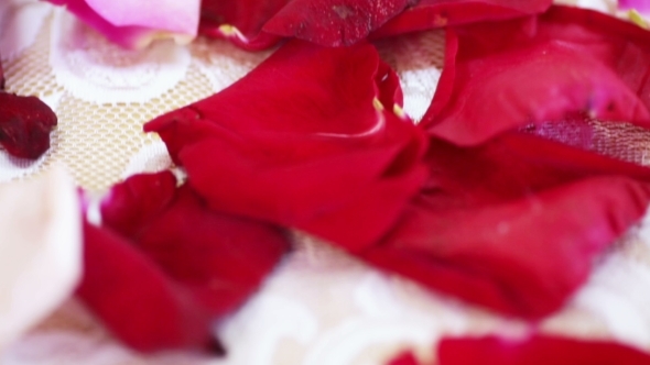 Rose Petals On Table
