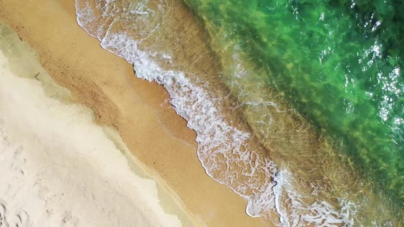 Tropical Beach and Waves