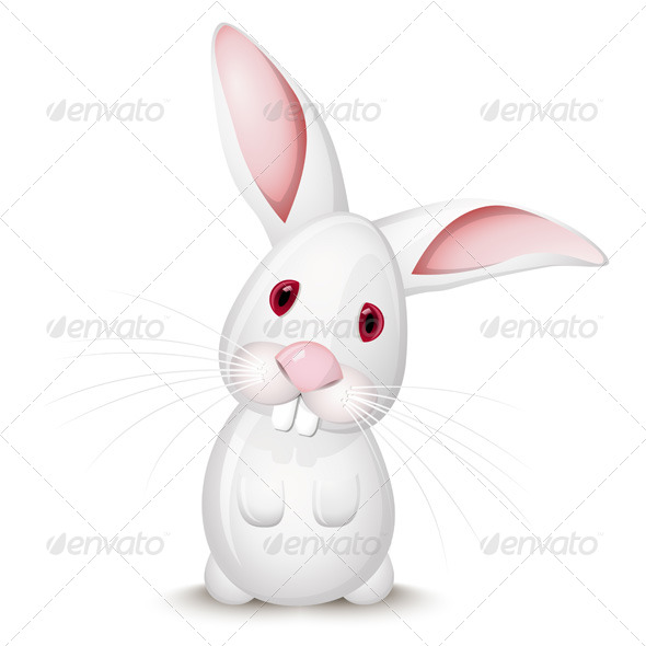 Little White Rabbit - Animals Characters