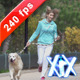 Young Woman With Her Dog Young Woman With Her Dog - VideoHive Item for Sale