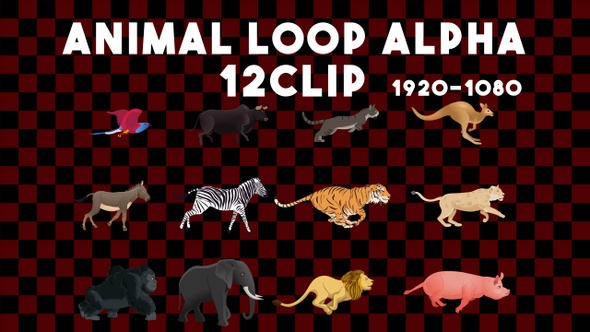 Animal Animation Alpha 12 Clip
