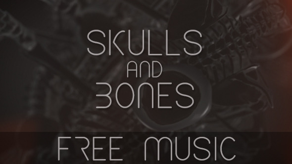 Skulls and Bones - VideoHive 11047092