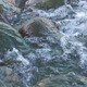 Slimy River Stream  - VideoHive Item for Sale