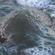 Slimy Rock in Water - VideoHive Item for Sale