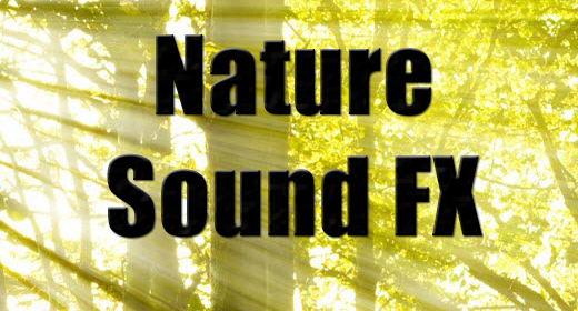 Nature Sound Effects