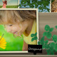 Spring &amp; Summer Papercraft Window Scene - VideoHive Item for Sale
