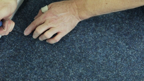Alignment Carpet
