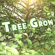 Tree Grow Openers - VideoHive Item for Sale