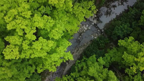 Aerial flyover dried out river surrounded by natural forest during climate change period on planet e alt