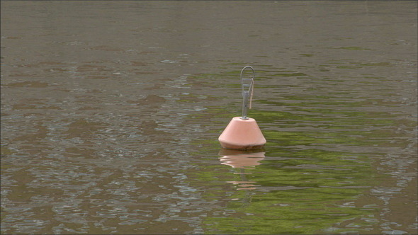 A Buoy Floating in the Sea alt