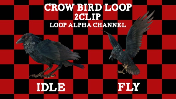 Crow Bird 2Clip Loop