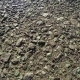 Road Surface With Stones - VideoHive Item for Sale