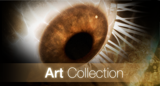 Art Collection