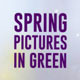 Spring Pictures in Green - VideoHive Item for Sale