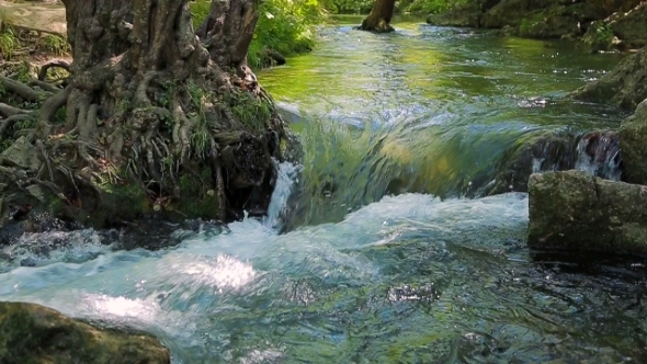 River Flowing In The Forest
