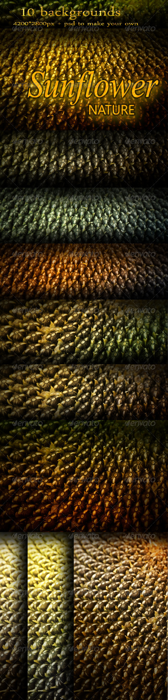 Abstract Nature Backgrounds with Sunflower Seeds - Nature Backgrounds