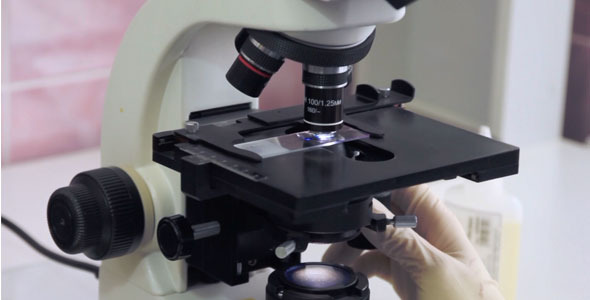 Working In Lab With Microscope 3 in 1 alt