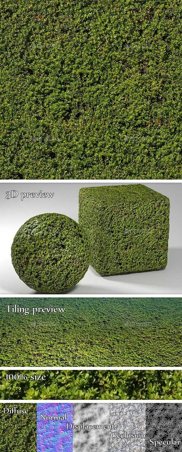 Fine Foliage Hedge Seamless Texture - 3DOcean Item for Sale