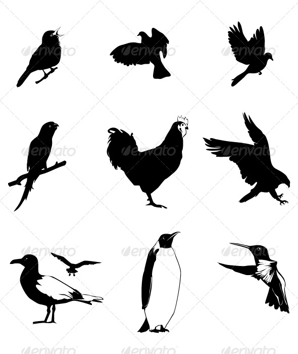 Birds Set