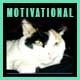 Be Motivated