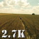 Flying Over Girl Playing Piano in Wheat Field 2 Flying Over Girl Playing Piano in Wheat Field 2 - VideoHive Item for Sale