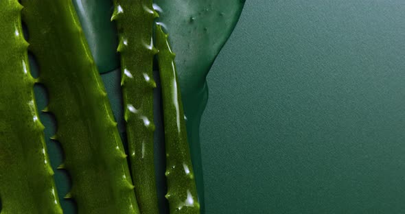 Alora vera leaf with juice, gel runs of on geen background