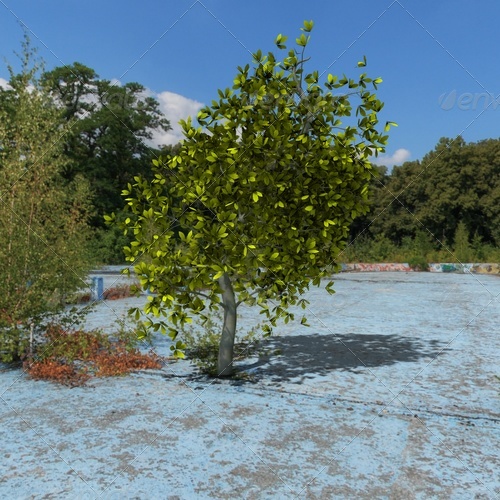 tree - 3Docean 139387