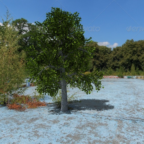 tree - 3Docean 139388