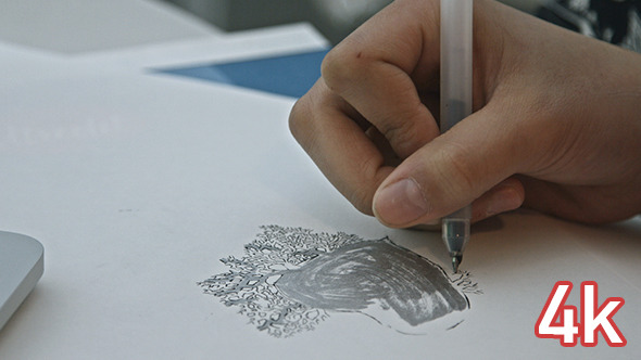 Girl Drawing