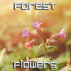 Spring Forest Flowers - VideoHive Item for Sale