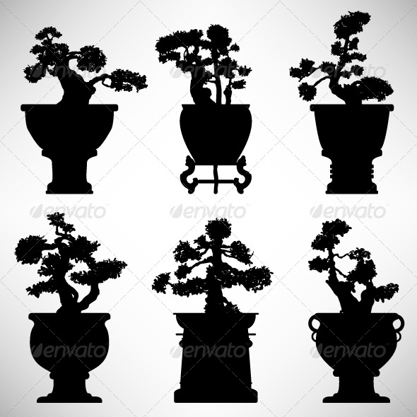 Bonsai Flower Plant Silhouette - Flowers & Plants Nature