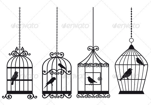Birdcages With Birds