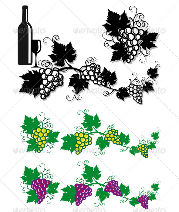 Grapes And Vine Leaves