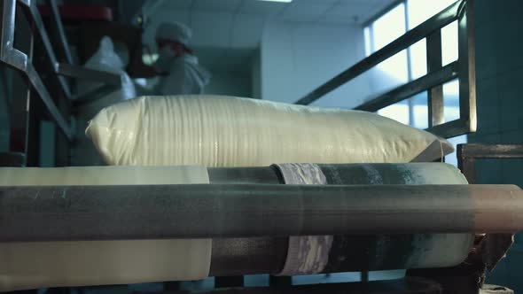 Full Bags Lie on the Conveyor Belt alt