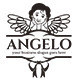 Angelo Logo by DTwister | GraphicRiver