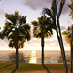 Sunrise In Paradise - VideoHive Item for Sale